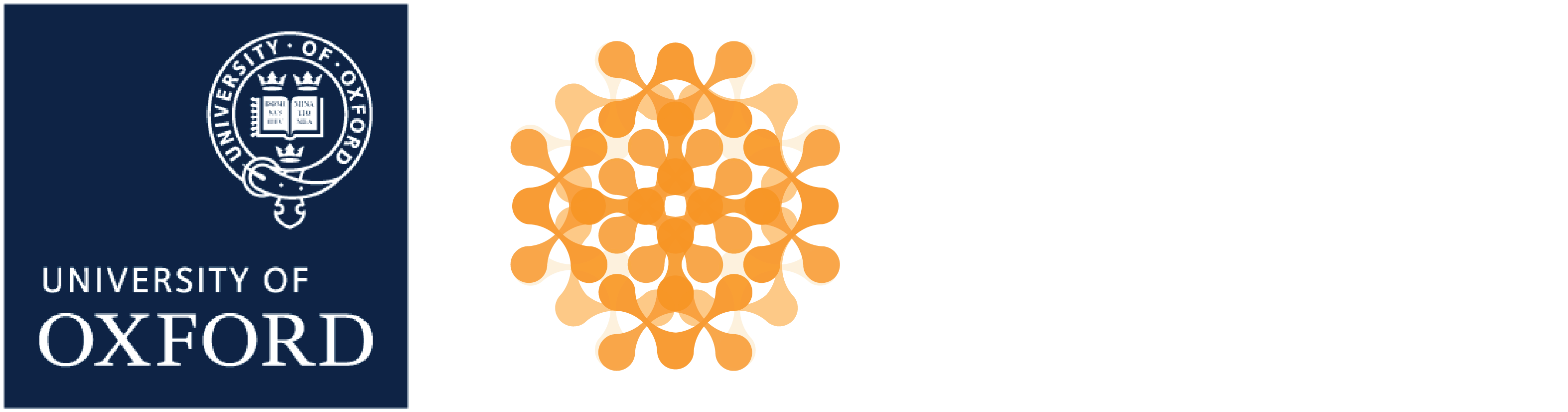 Oxford Institute for Ethics in AI